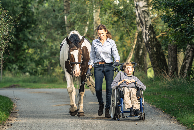 Horses for Heroes