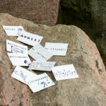 Frauke-Jessen-Narr-042