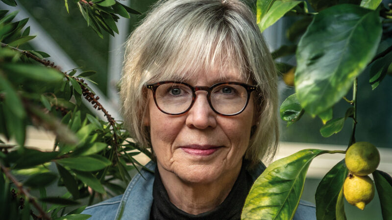 Gedichte von Dr. Elisabeth Menke