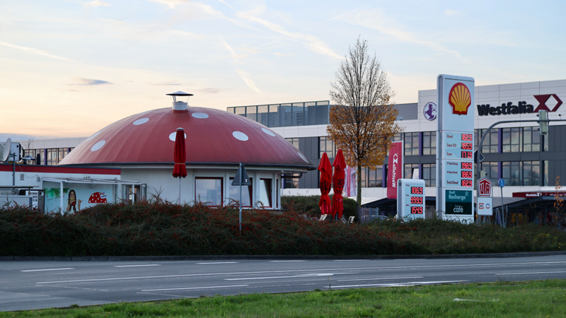 Zwischen Pilz, Historischem & Kultur