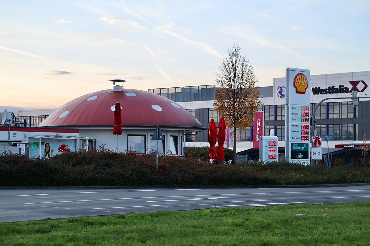 Zwischen Pilz, Historischem & Kultur