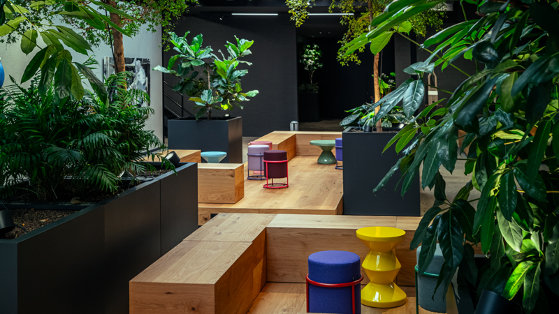 Mehr als eine Idee mehr