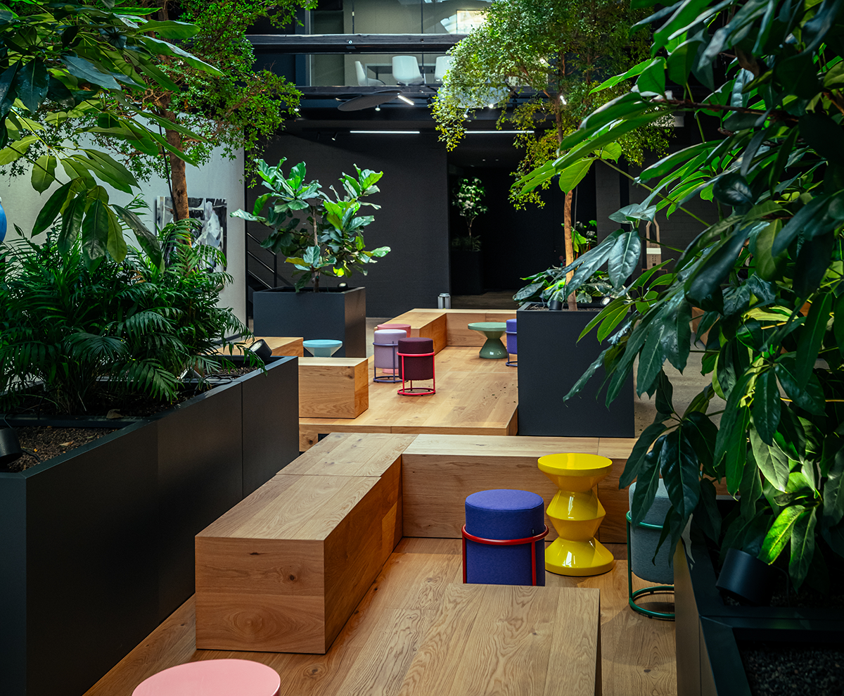 Mehr als eine Idee mehr